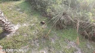 A Quick Tease with iPLEDGE on Vacation. Suck my Husband, and Special Guest mr Gopher Tortoise