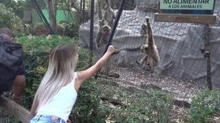 Cheeks in Chile Zoo