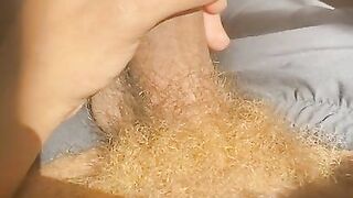 Hairy Sexy thick cock Mount Men Rock Mercury Masturbation