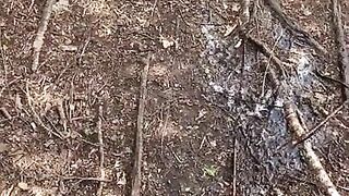 Going to pee in the woods and found a ass to fuck