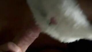 Little rabbit takes all the cum