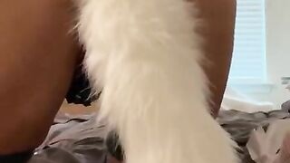 Sassy Assy ANAL PLAY uses fox tail anal plug to fuck tight ass