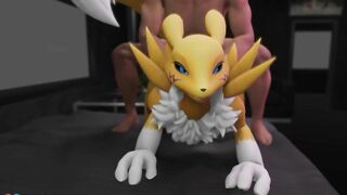 Furry porn with Renamon doing sex