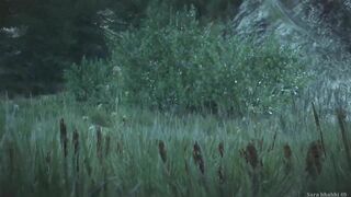 Geralt and Yennefer Wolf Deer Sex Scene at Kaer Morhen Witcher 3