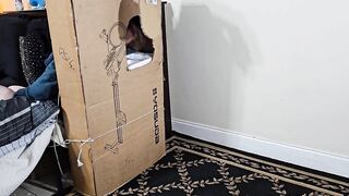 The wife decided to make her own gloryhole from a box, Watch what happened to her.