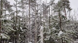 Hot blowjob in the cold taiga from a bbw blonde with a pretty face