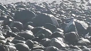 Milf playing on a beautiful Mexican beach