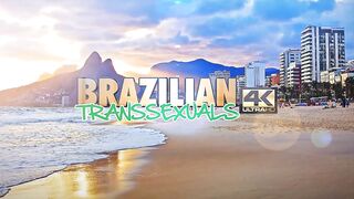 BRAZILIAN TRANSSEXUALS - Well Hung Ts Glorious Return